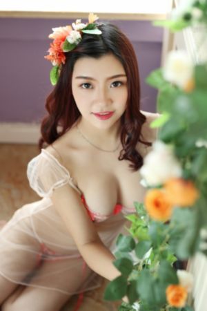 免费追剧网络影视大全