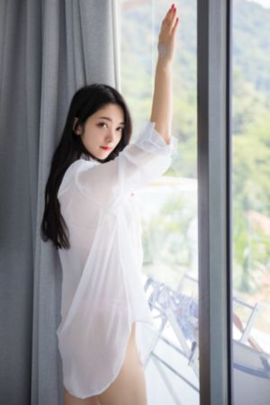 岳母的简介在线观看