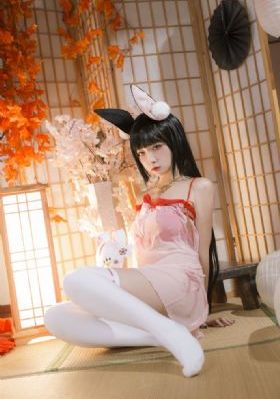 猫娘乐园